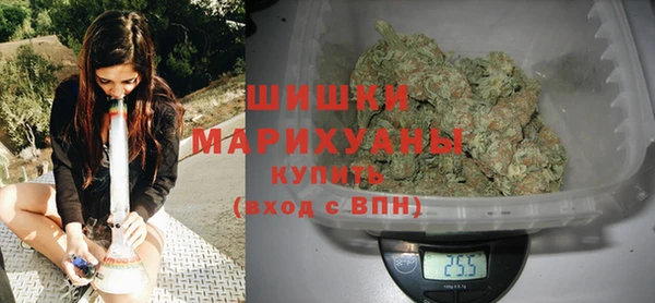 PSILOCYBIN Бородино